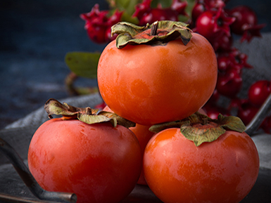 九游电竞平台基地展示四